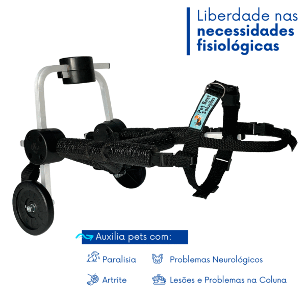 Cadeira De 2 Rodas PP - Imagem 6