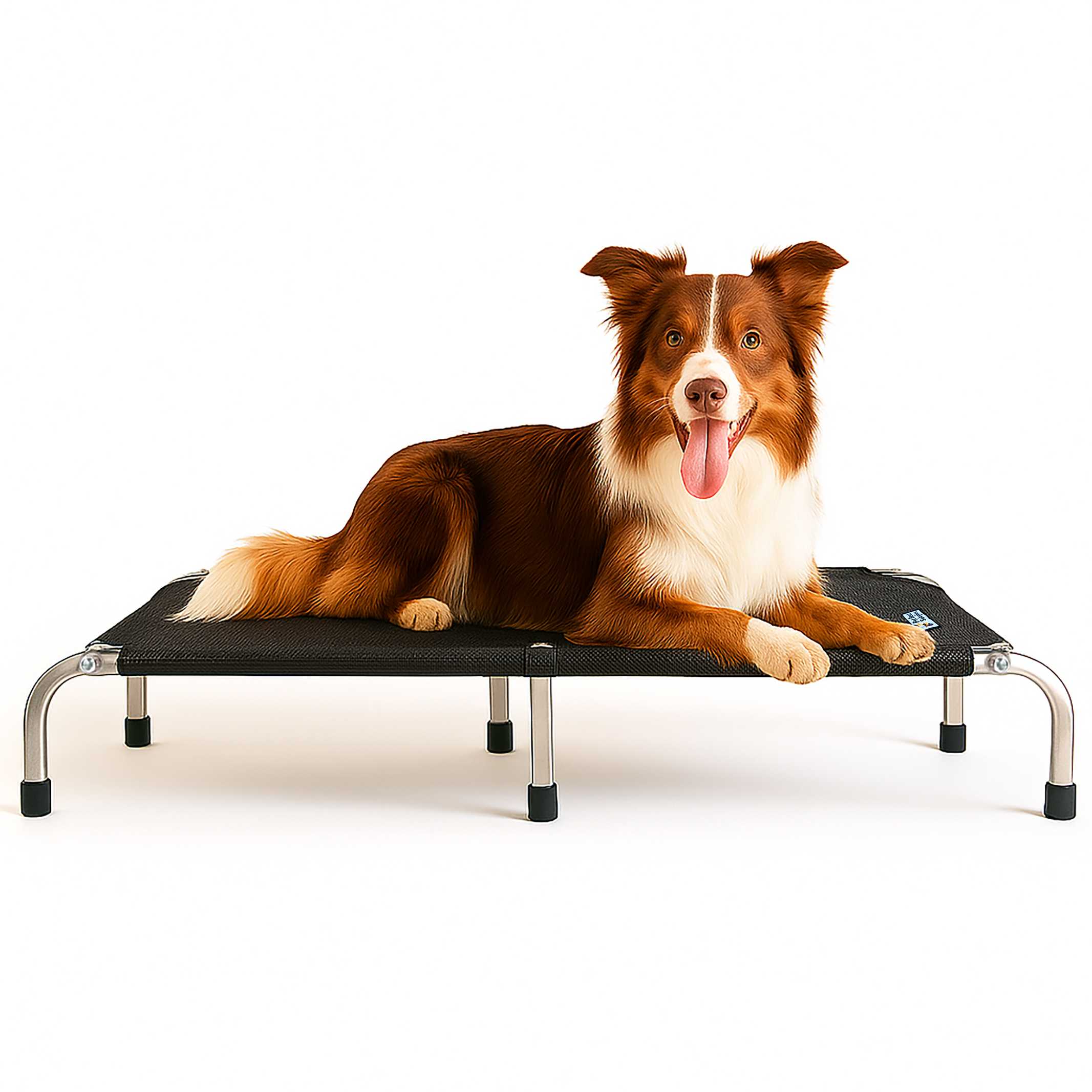 Cama Suspensa para Pets