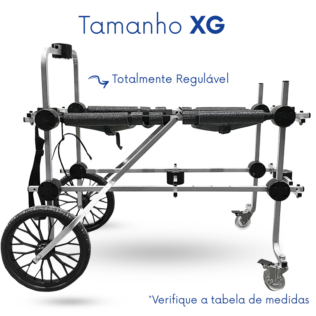 Cadeira De 4 Rodas XG - Imagem 2
