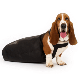 Saco De Arrastar para Pets Paraplégicos - G