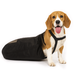 Saco De Arrastar para Pets Paraplégicos - M