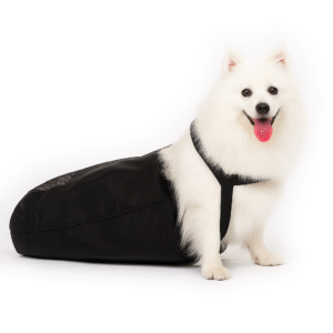 Saco De Arrastar para Pets Paraplégicos - P