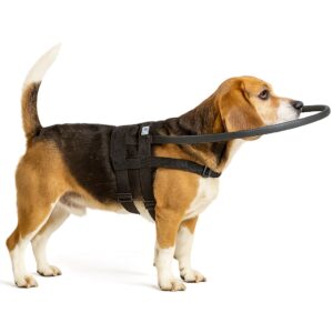 Coleira para Cães e Gatos Cegos