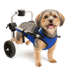 Cadeira De 2 Rodas P com Colete