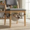 Rede Cadeira para Gatos